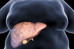 Foie Gras&nbsp;: les signes à ne pas ignorer 