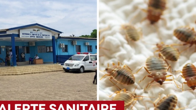 Brève / Santé/ Présence de punaises&nbsp;: l’hôpital de Beau-Séjour suspend ses activités pour 48 heures