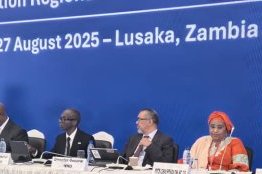 Paludisme : les ministres africains appellent à une mobilisation urgente