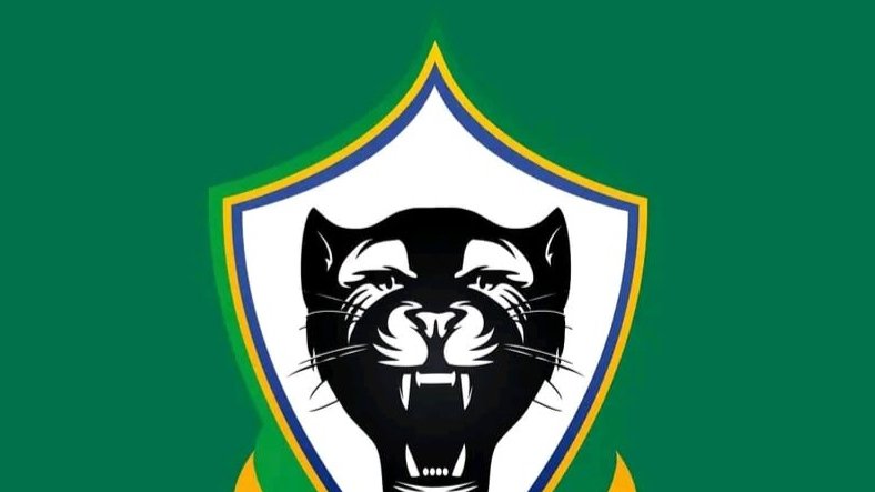 Football/ Panthères&nbsp;: le nom du nouveau sélectionneur attendu le 28 février