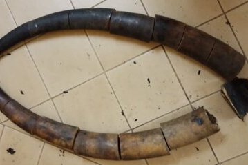 Franceville : trois Gabonais arrêtés   avec 17 morceaux de défenses d’éléphant  