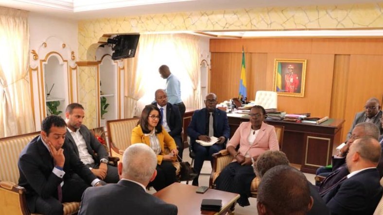 Agriculture : des hommes d’affaires égyptiens reçus par le Ministre pour renforcer la filière avicole gabonaise