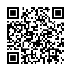 qrcode:legislatives-au-gabon-fridolin-mve-344.html