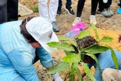 Cap Estérias / Obagna&nbsp;: le Rotary Club de Libreville Bantou mobilisé pour la sauvegarde de la mangrove&nbsp;