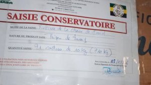 Libreville&nbsp;: l’AGASA saisit plus de 700 kg de produits impropres dans un entrepôt frigorifique