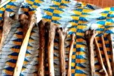 Profanation de tombes et trafic de restes humains&nbsp;: une affaire macabre relance les inquiétudes au Gabon