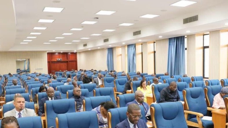Gabon&nbsp;: Les députés auditionnent le ministre de l’Agriculture sur la réforme du secteur agropastoral