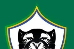 Football/ Panthères&nbsp;: le nom du nouveau sélectionneur attendu le 28 février