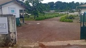 Agriculture/ IGAD&nbsp;: une réforme stratégique portée par la nouvelle gouvernance