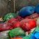 Gabon / Libreville&nbsp;: l’AGASA ferme 12 ateliers de vente de manioc roui au PK8 pour non-conformité sanitaire 