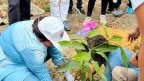 Cap Estérias / Obagna&nbsp;: le Rotary Club de Libreville Bantou mobilisé pour la sauvegarde de la mangrove&nbsp;
