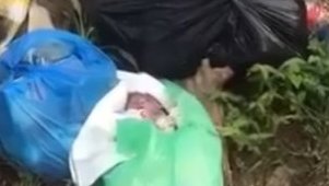 Un nouveau-né retrouvé abandonné dans une poubelle à Akanda