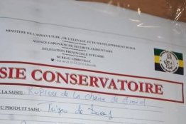 Libreville&nbsp;: l’AGASA saisit plus de 700 kg de produits impropres dans un entrepôt frigorifique