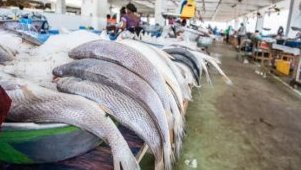 Pêche&nbsp;: Libreville réclame un partenariat plus équitable avec l’Union européenne