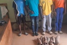 Ogooué-Ivindo&nbsp;: l’ivoire continue de circuler malgré la traque des trafiquants&nbsp;